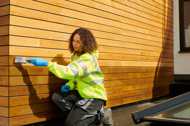 Best Brick Veneer Siding  in Wahoo, NE